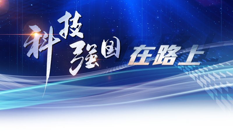微服务权限管理的核心挑战与实践