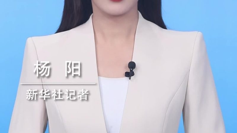 星型模型在数据仓库中的应用现状