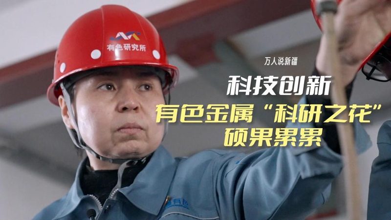 数据按需定制平台：揭秘其排名背后的逻辑